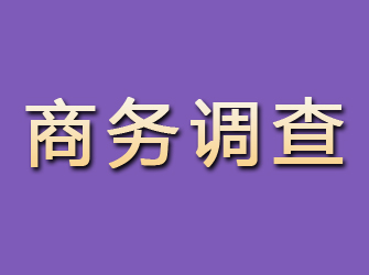 崇礼商务调查